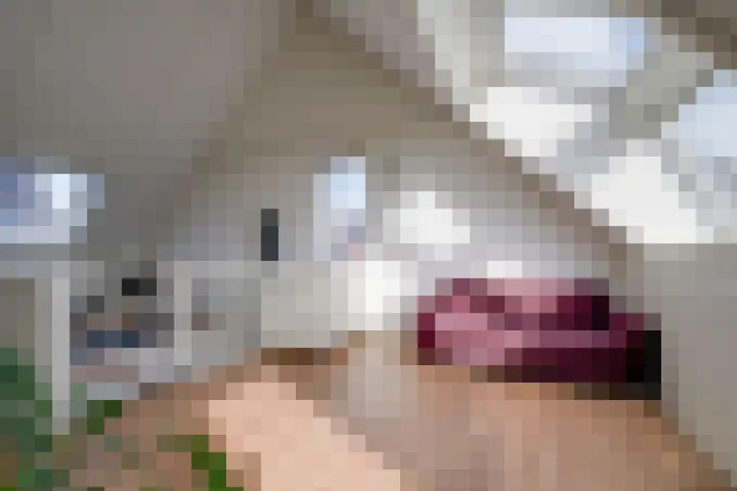 Ter Borch 1 Odijk thumbnail 31