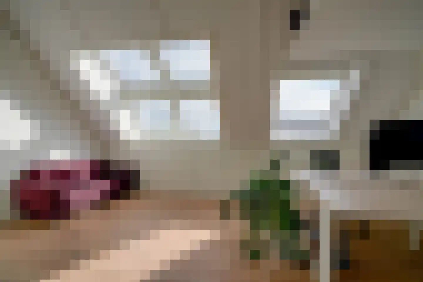 Ter Borch 1 Odijk thumbnail 32