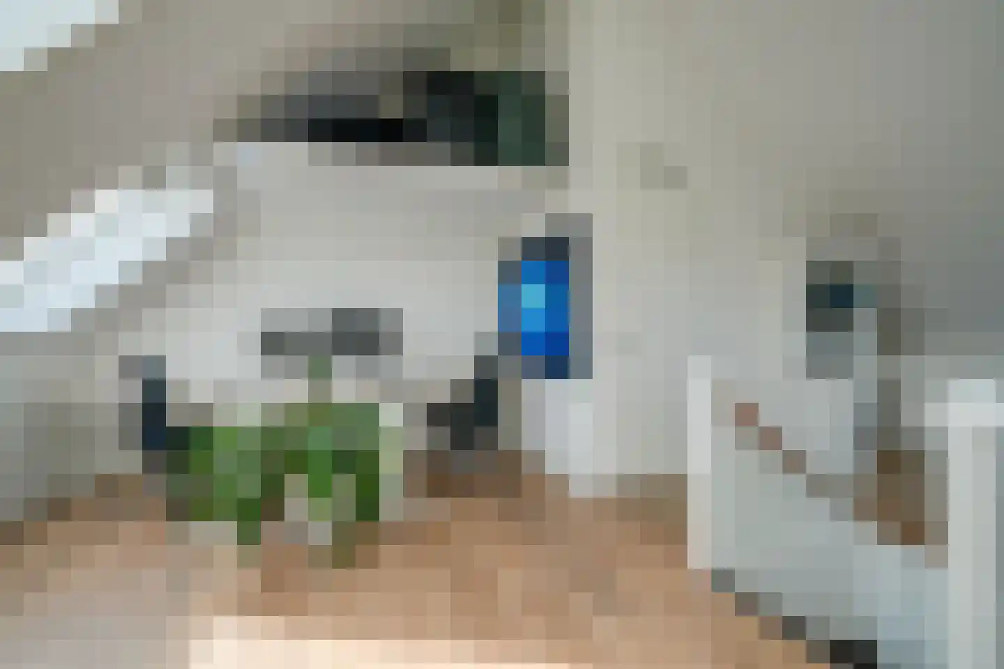 Ter Borch 1 Odijk thumbnail 33