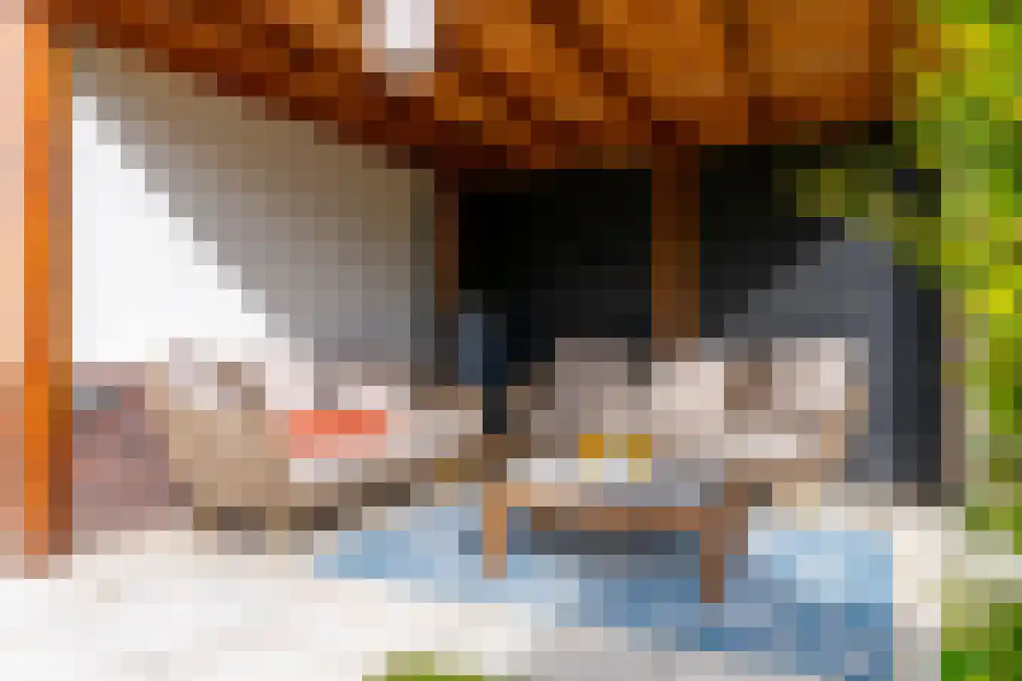 Ter Borch 1 Odijk thumbnail 38
