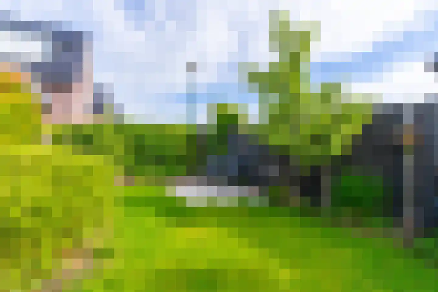 Ter Borch 1 Odijk thumbnail 40
