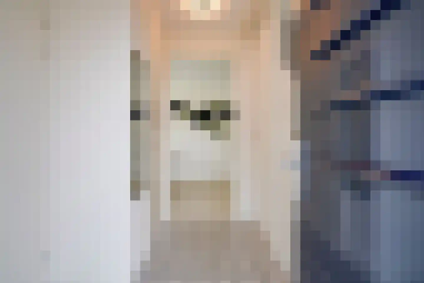 Ter Borch 1 Odijk thumbnail 6