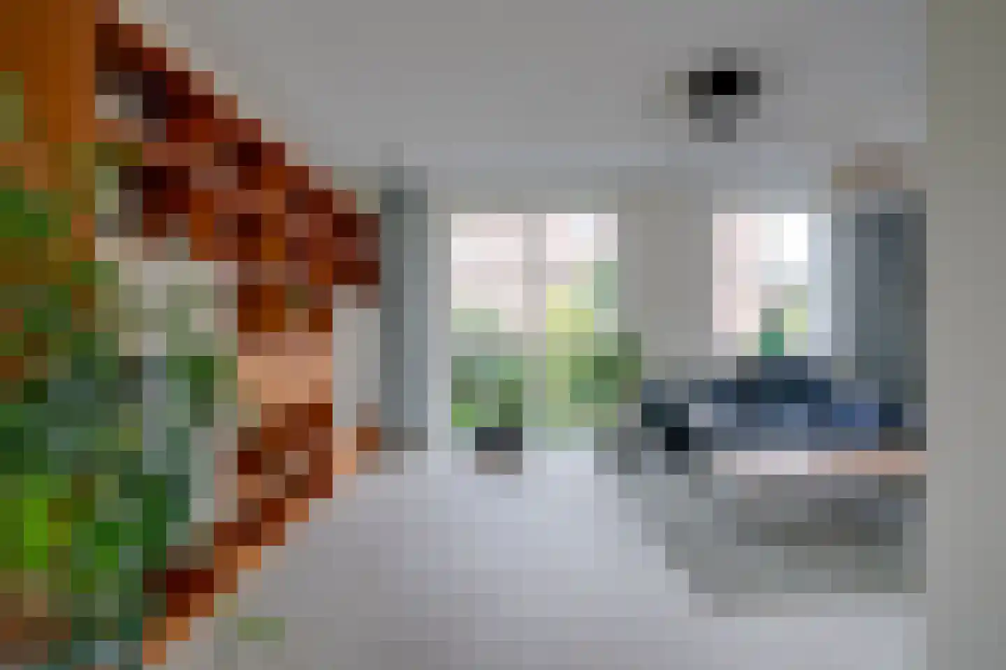 Ter Borch 1 Odijk thumbnail 8