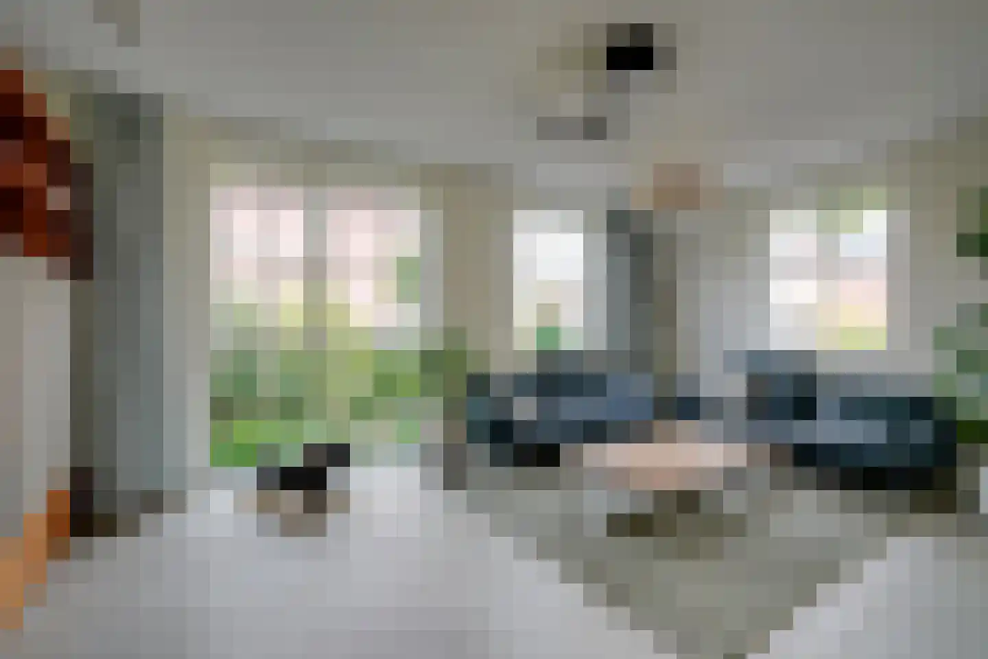 Ter Borch 1 Odijk thumbnail 9