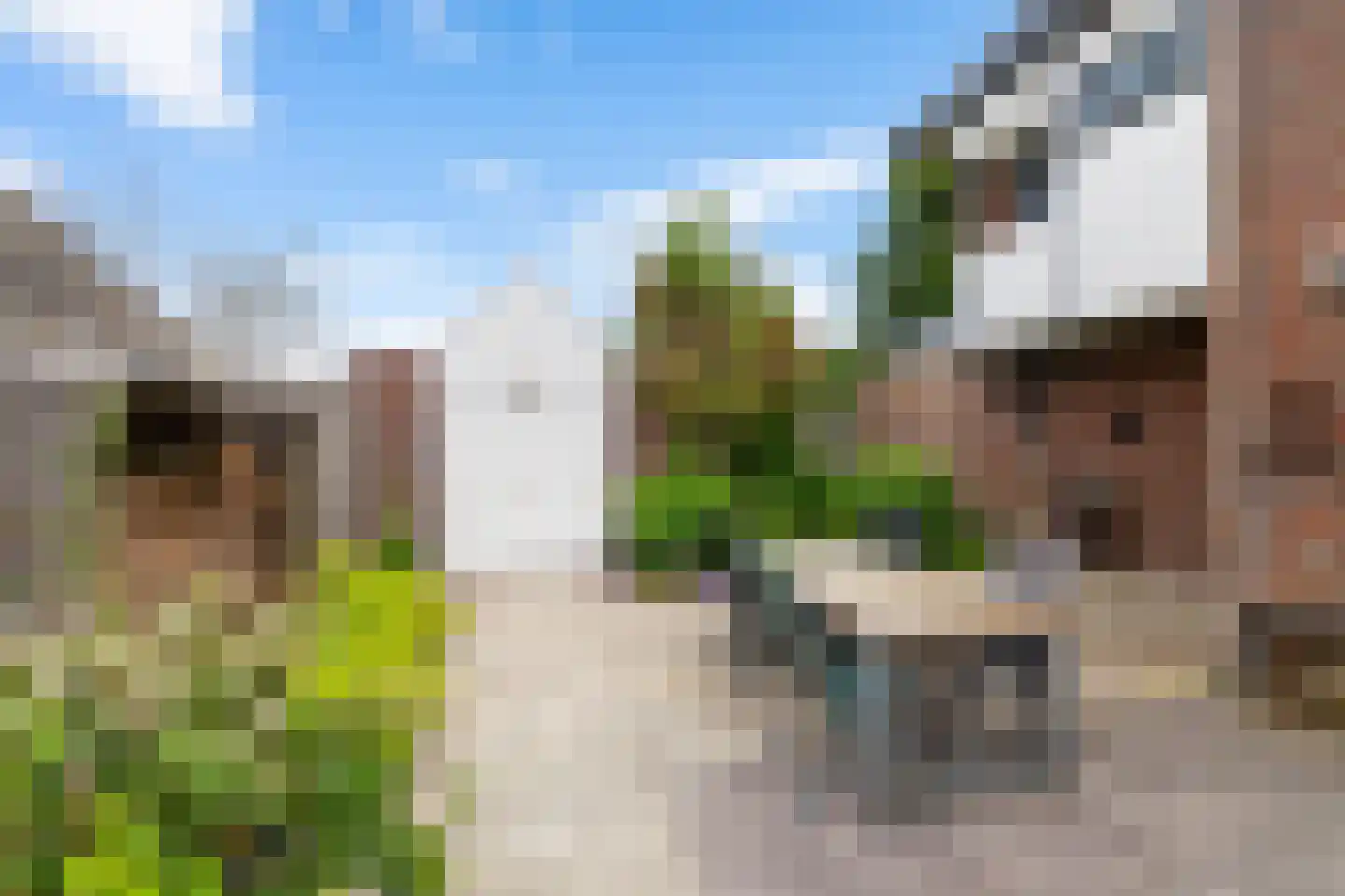 Ter Borch 18 Zuidlaren thumbnail 10