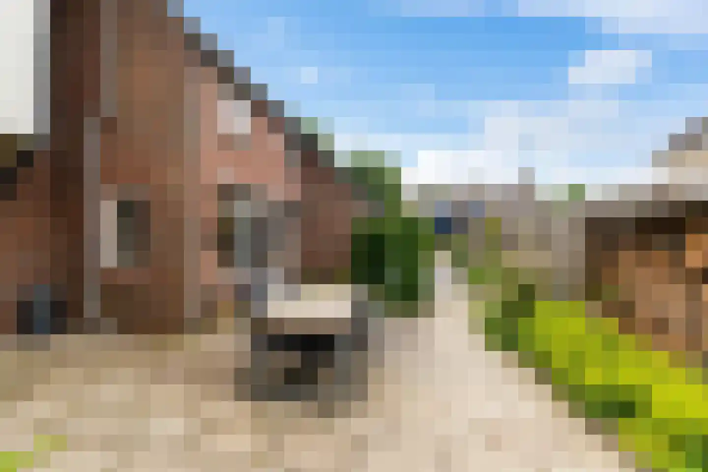 Ter Borch 18 Zuidlaren thumbnail 11