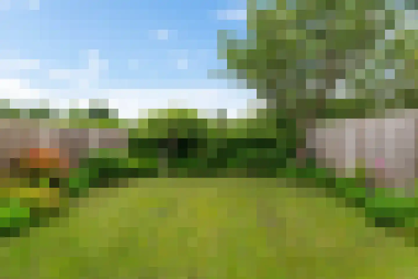 Ter Borch 18 Zuidlaren thumbnail 12