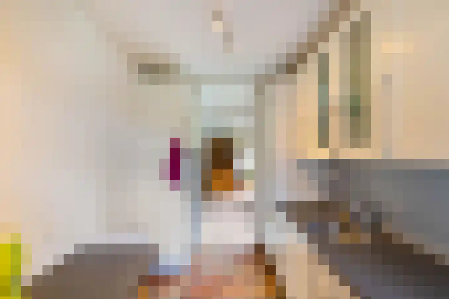 Ter Borch 18 Zuidlaren thumbnail 17