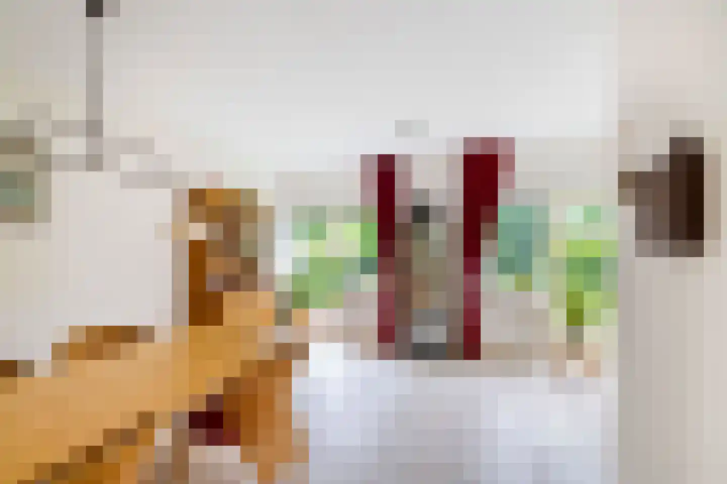 Ter Borch 18 Zuidlaren thumbnail 18