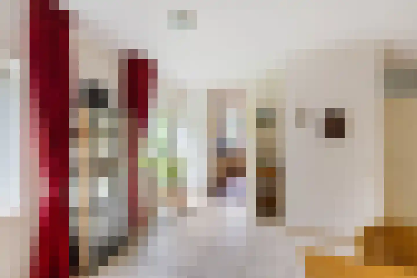 Ter Borch 18 Zuidlaren thumbnail 19