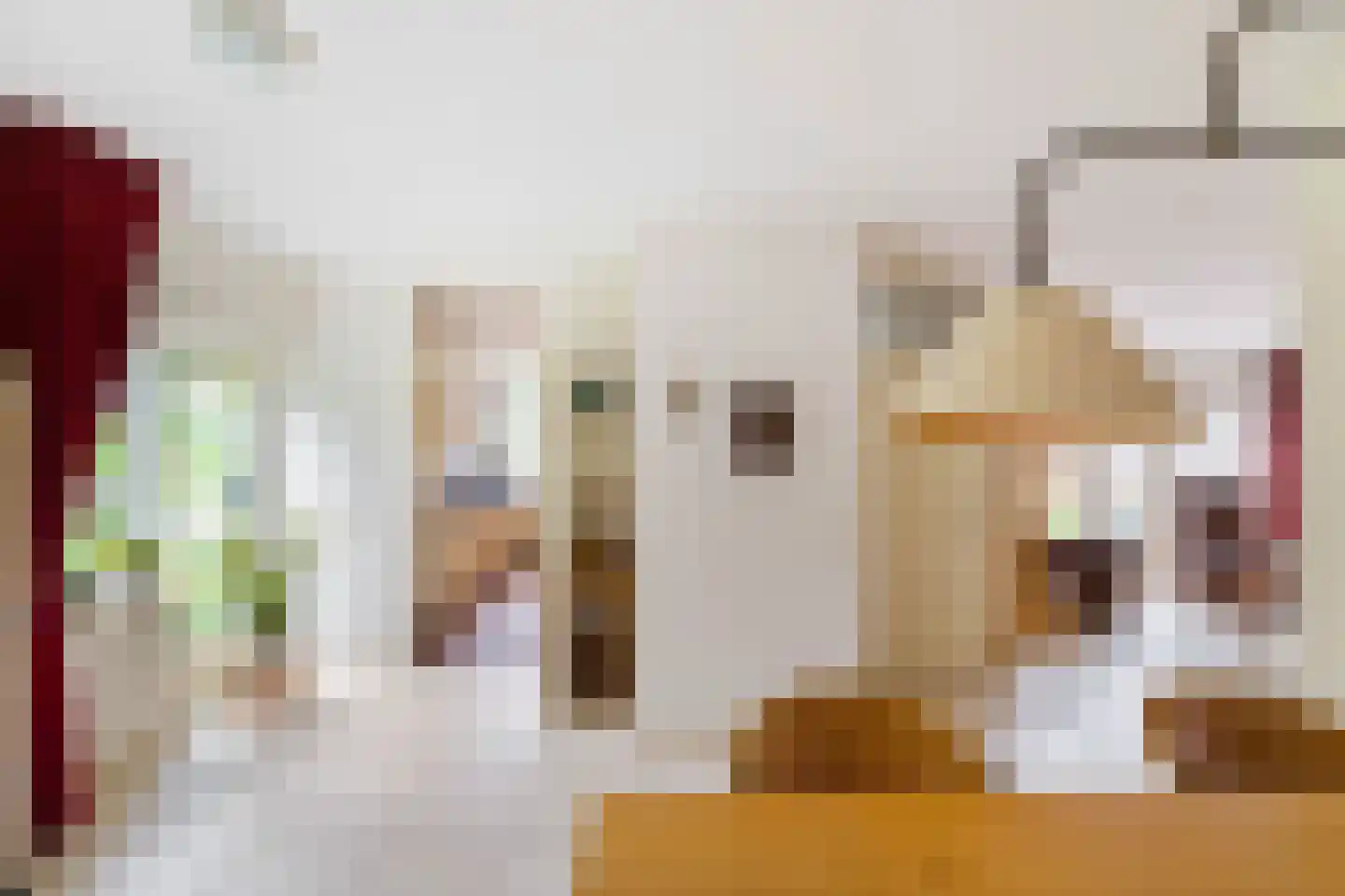 Ter Borch 18 Zuidlaren thumbnail 20