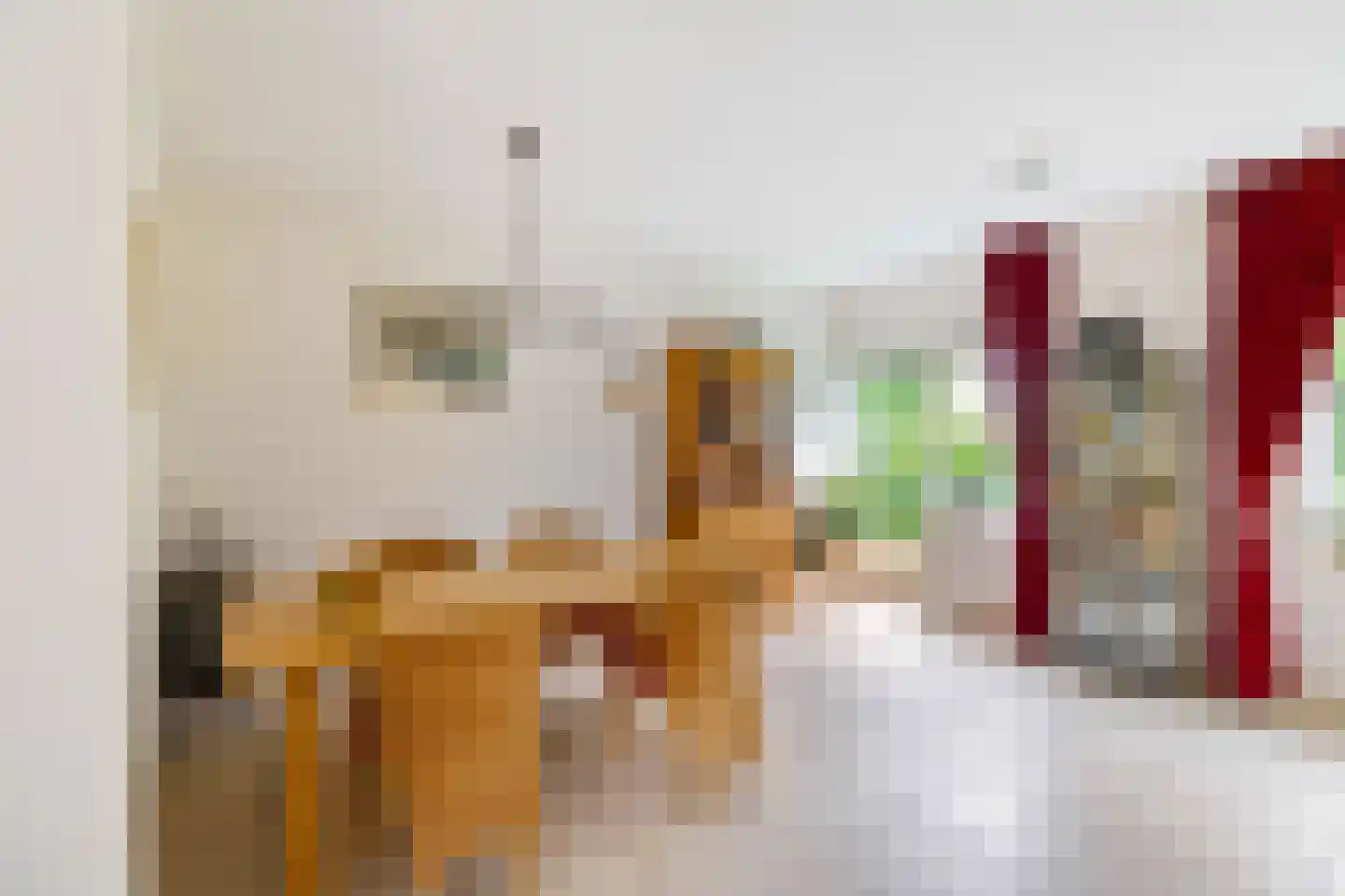 Ter Borch 18 Zuidlaren thumbnail 21