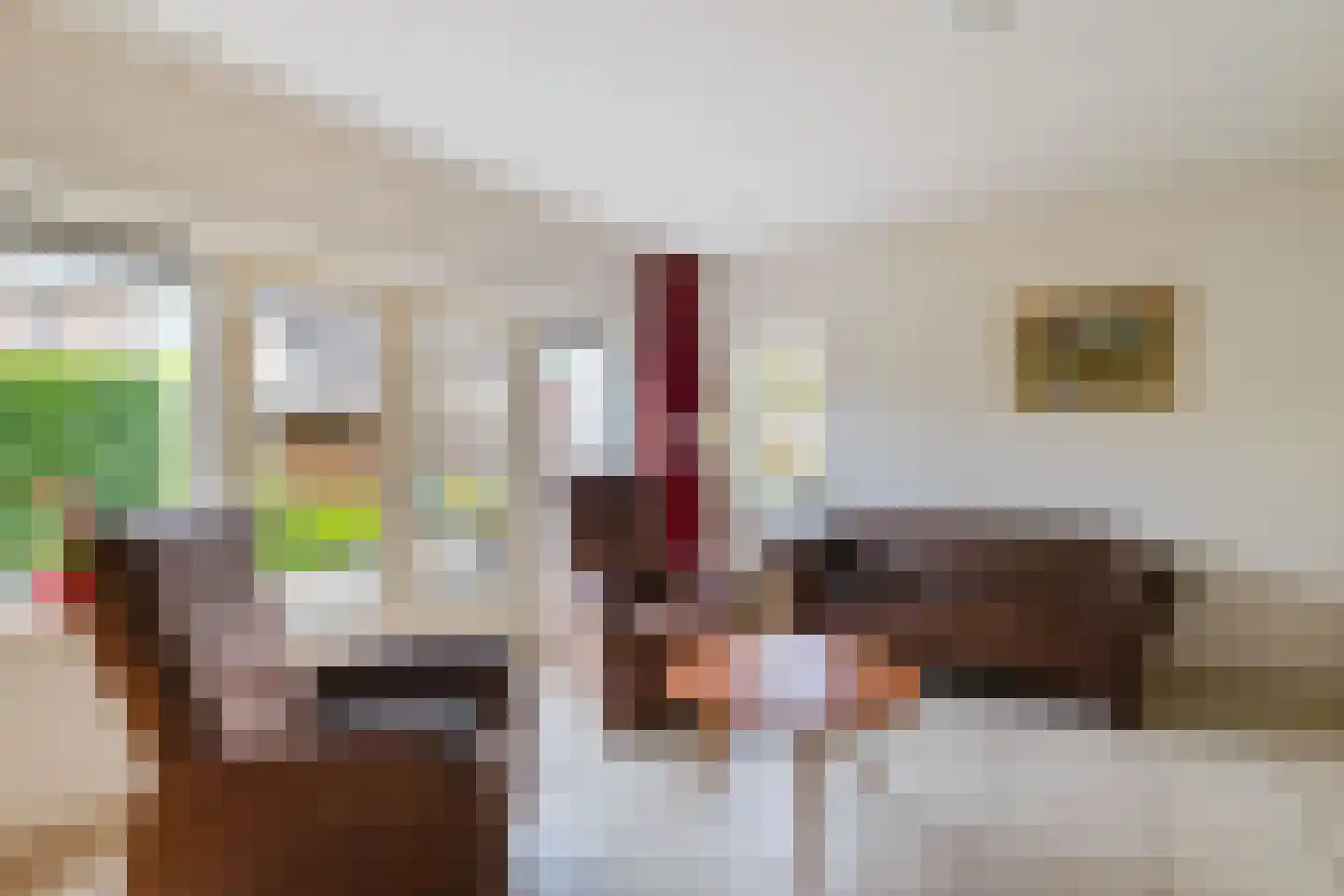 Ter Borch 18 Zuidlaren thumbnail 23