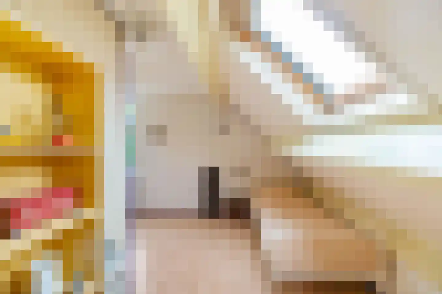 Ter Borch 18 Zuidlaren thumbnail 28