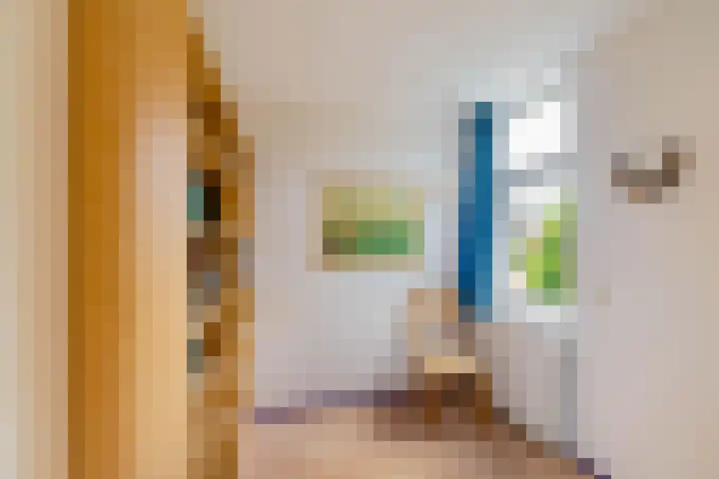 Ter Borch 18 Zuidlaren thumbnail 29