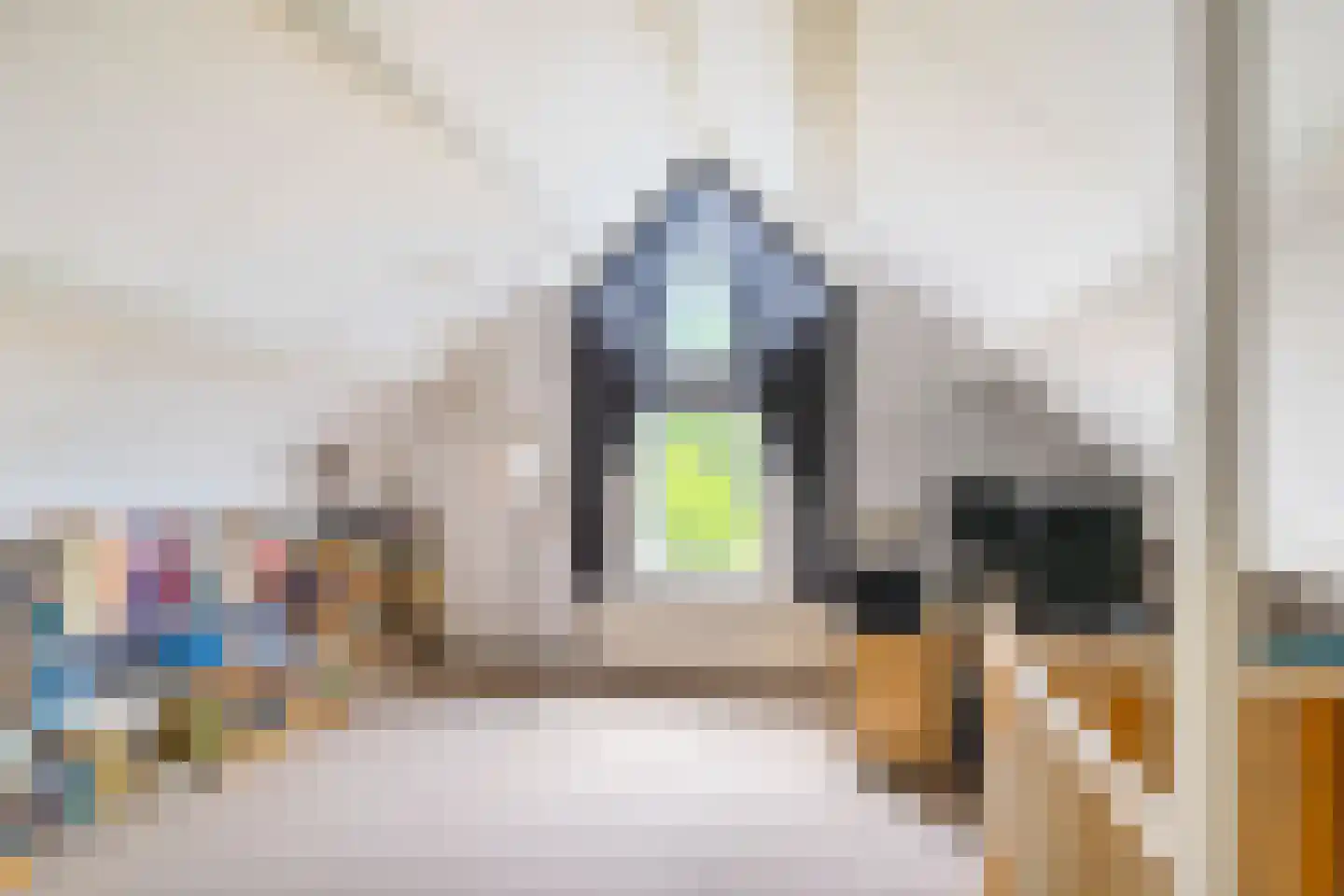 Ter Borch 18 Zuidlaren thumbnail 34