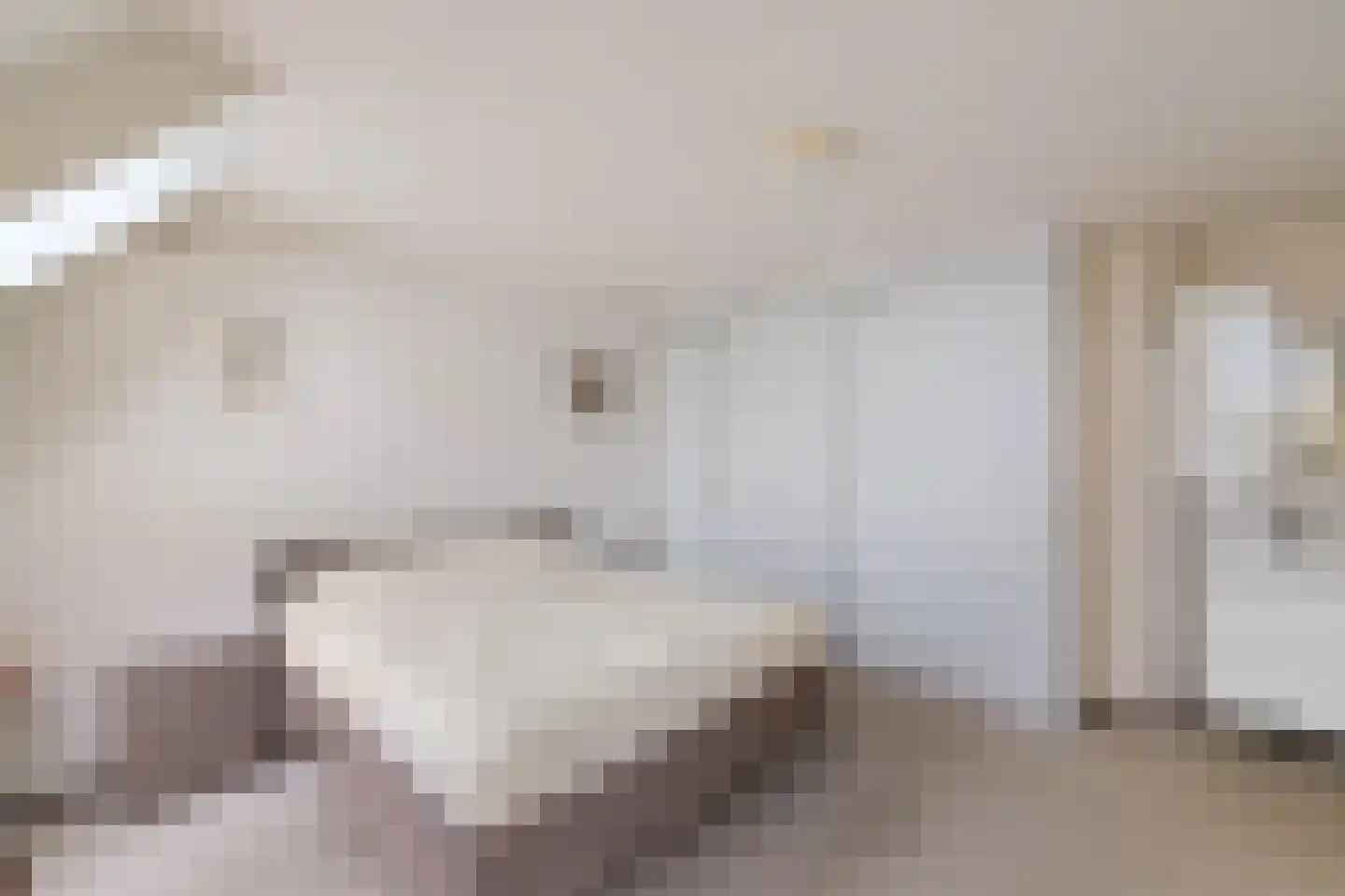 Ter Borch 18 Zuidlaren thumbnail 37