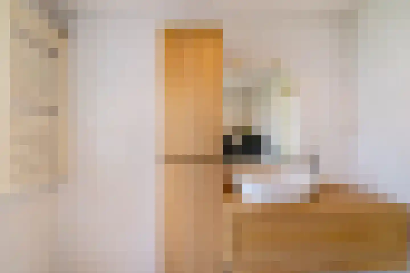 Ter Borch 18 Zuidlaren thumbnail 40