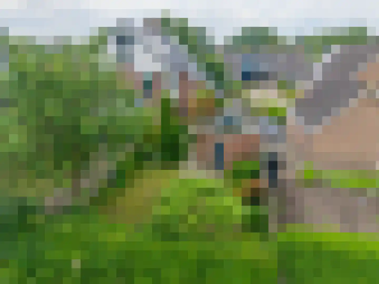 Ter Borch 18 Zuidlaren thumbnail 46