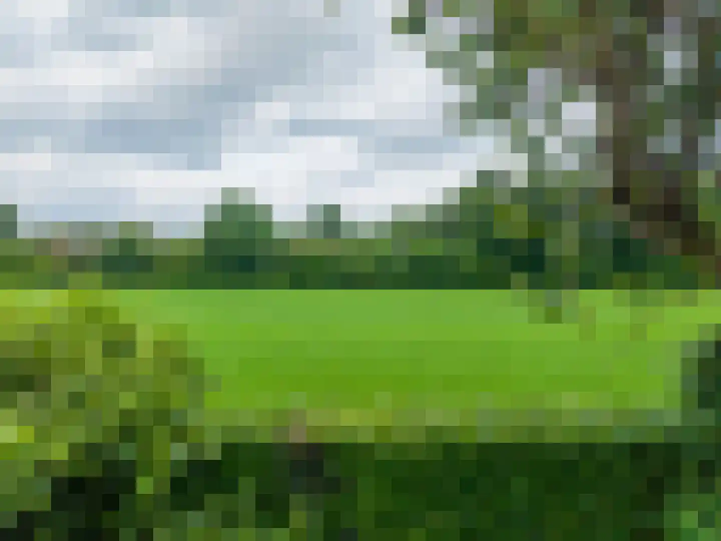 Ter Borch 18 Zuidlaren thumbnail 52