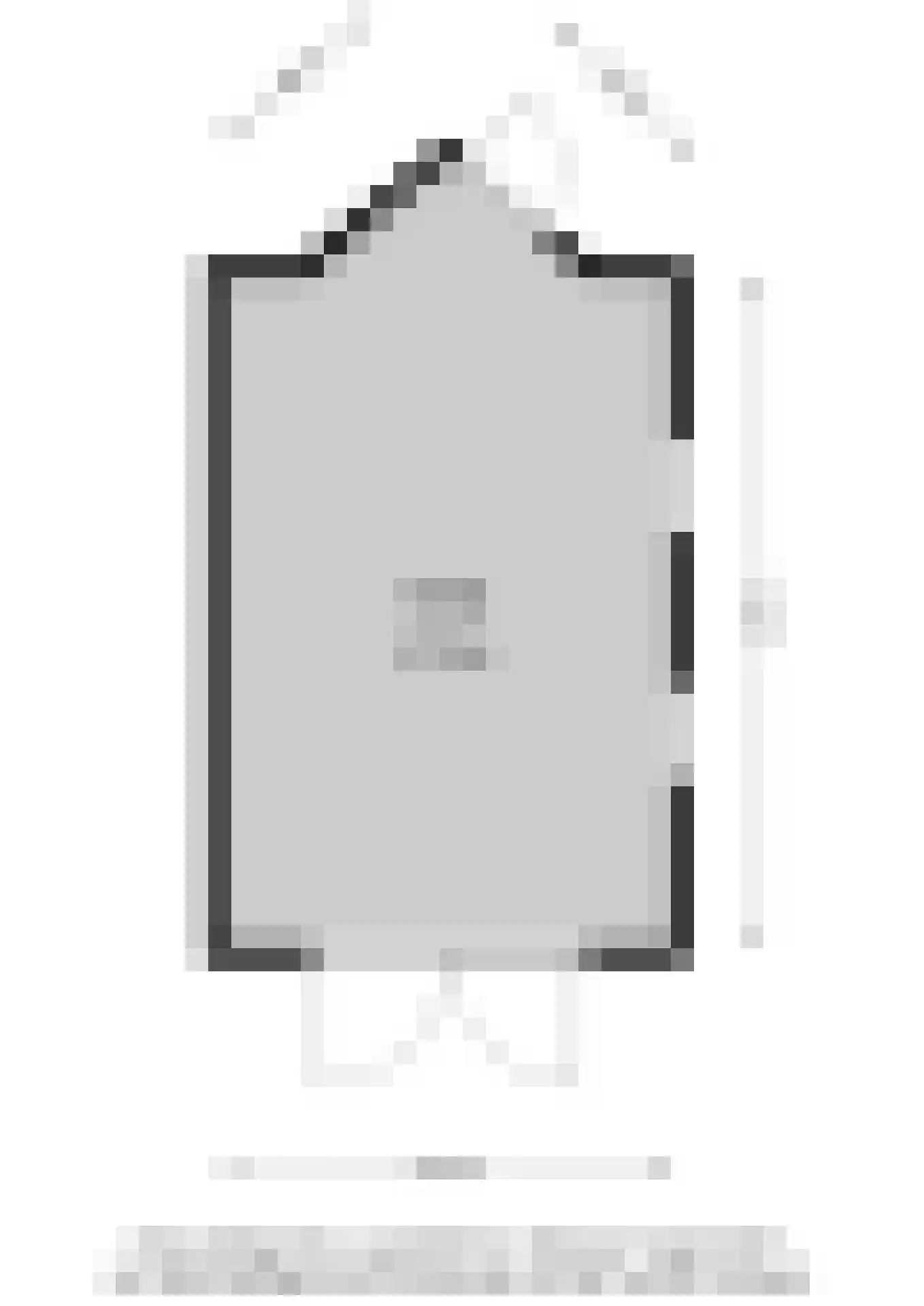 Ter Borch 18 Zuidlaren thumbnail 58
