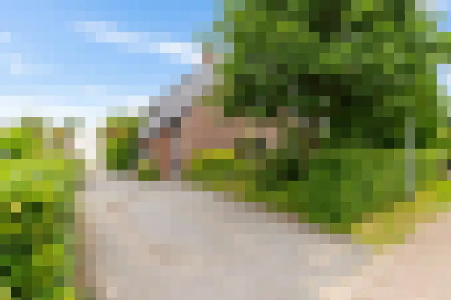 Ter Borch 18 Zuidlaren thumbnail 6