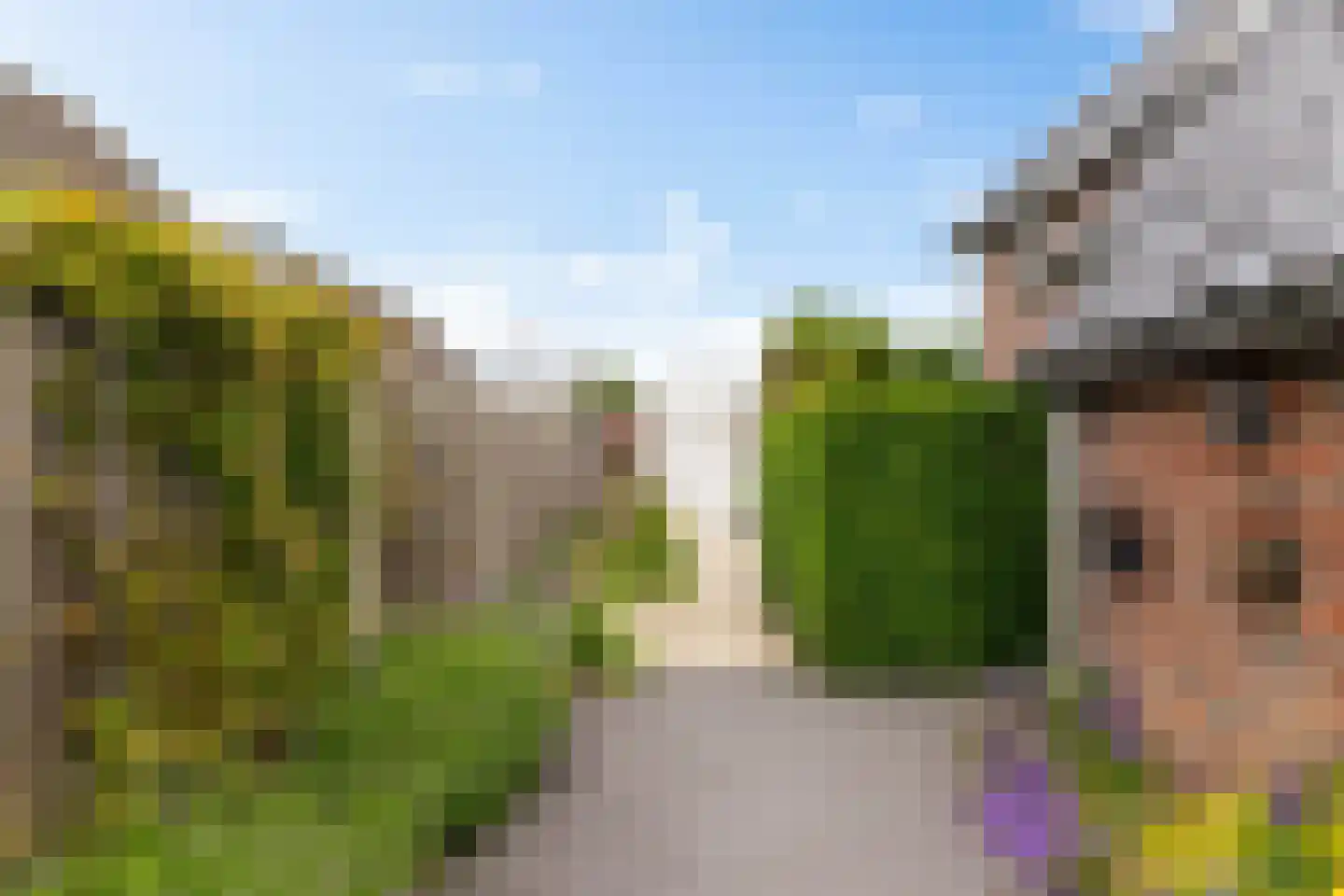 Ter Borch 18 Zuidlaren thumbnail 8