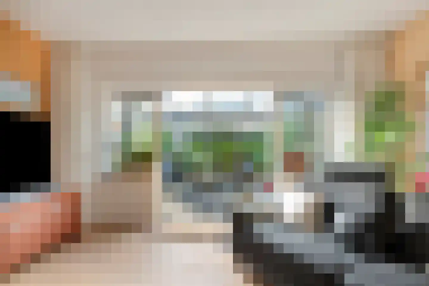 Ter Borch 22 Zuidlaren thumbnail 12