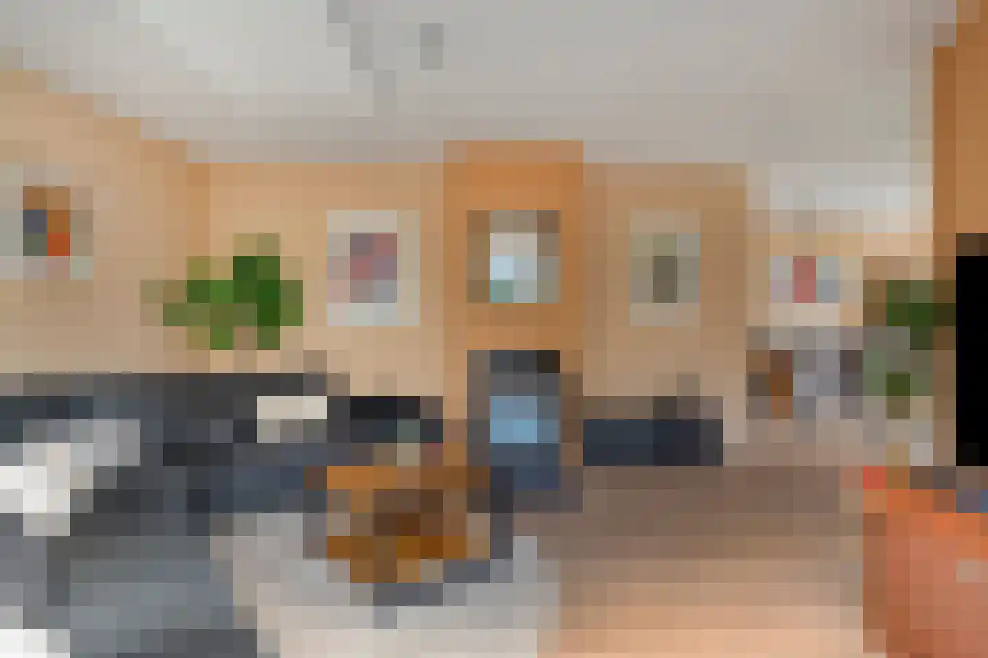 Ter Borch 22 Zuidlaren thumbnail 13