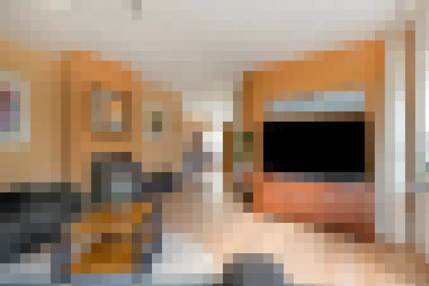 Ter Borch 22 Zuidlaren thumbnail 14