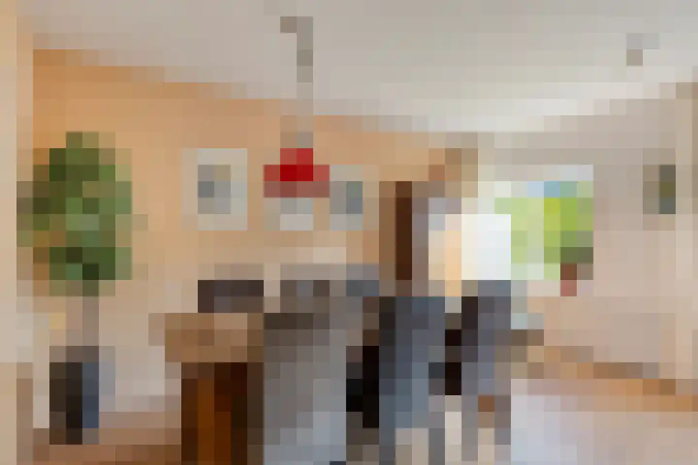 Ter Borch 22 Zuidlaren thumbnail 15