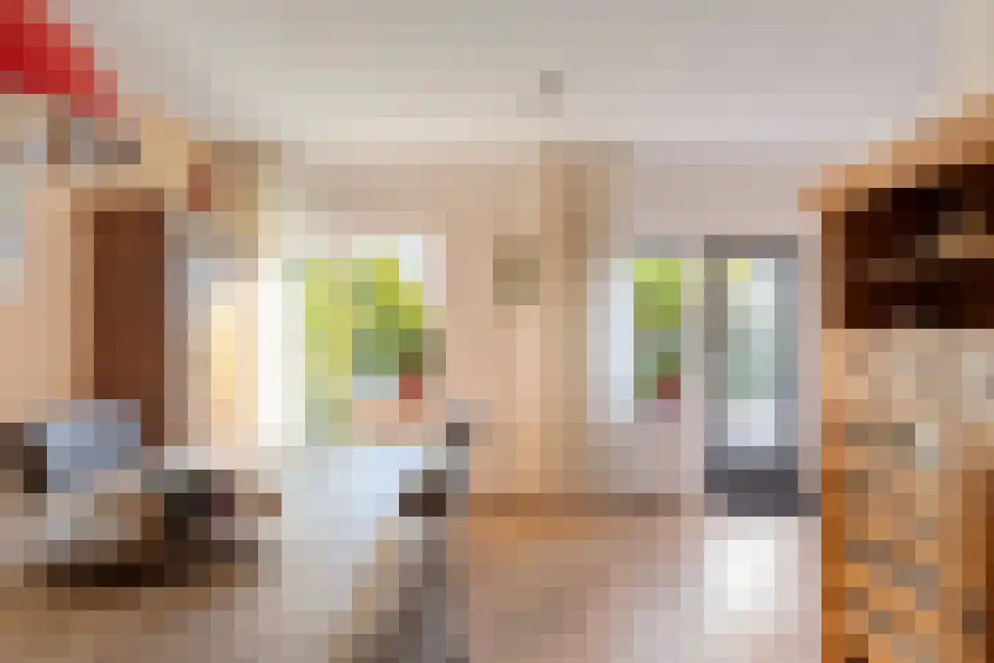 Ter Borch 22 Zuidlaren thumbnail 17