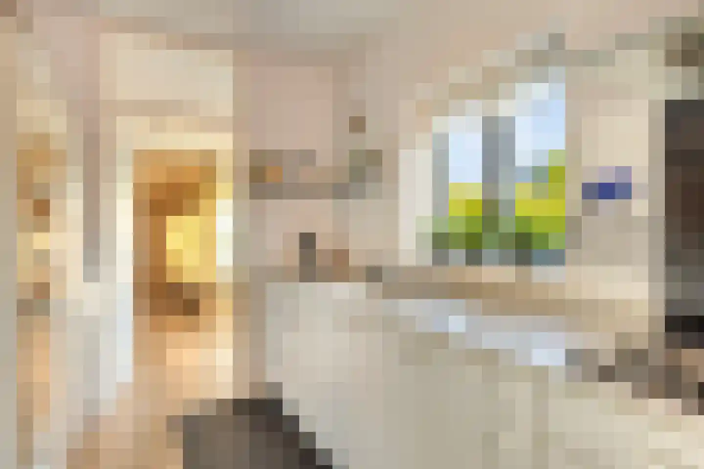 Ter Borch 22 Zuidlaren thumbnail 18