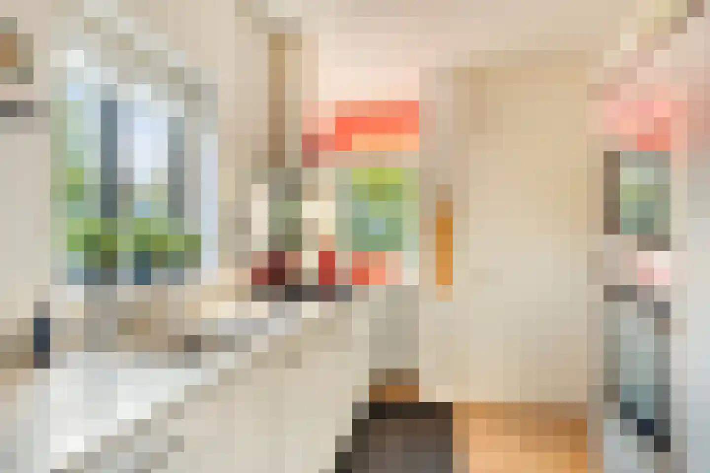 Ter Borch 22 Zuidlaren thumbnail 19