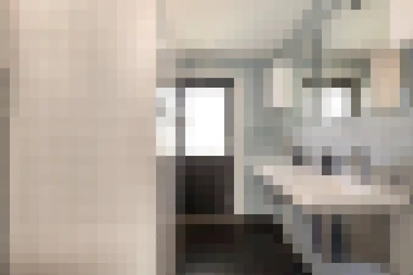 Ter Borch 22 Zuidlaren thumbnail 21