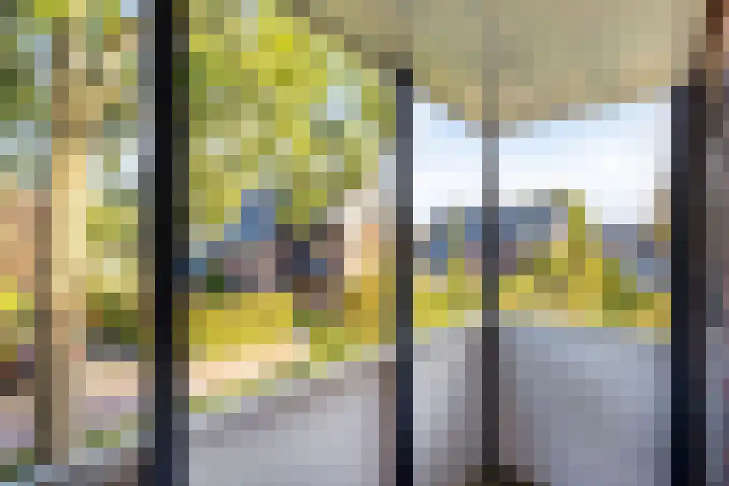 Ter Borch 22 Zuidlaren thumbnail 23