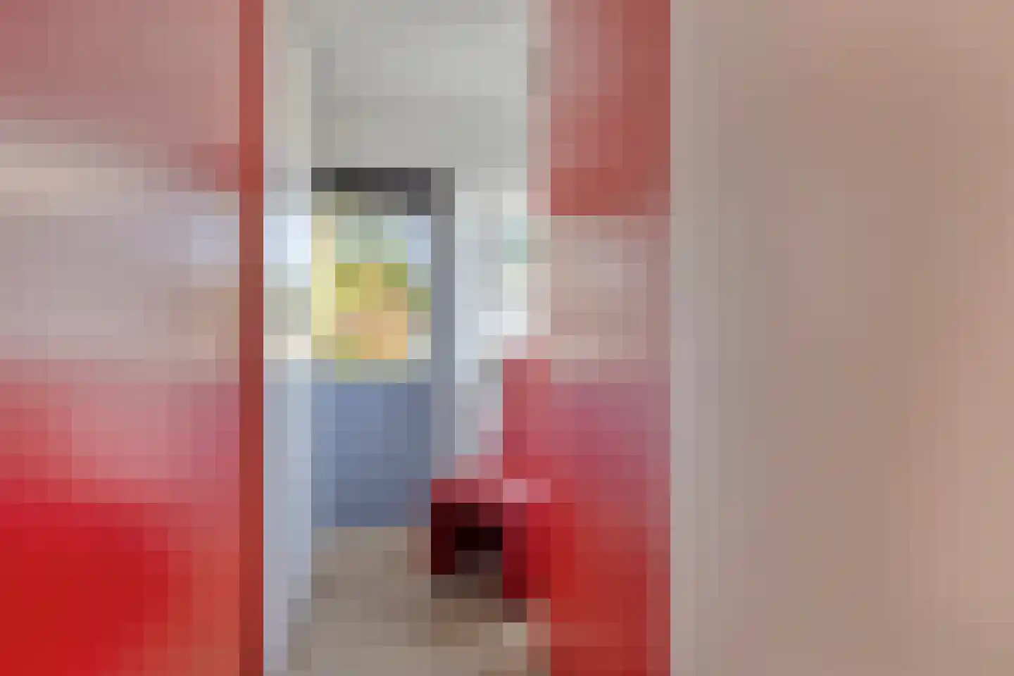 Ter Borch 22 Zuidlaren thumbnail 24