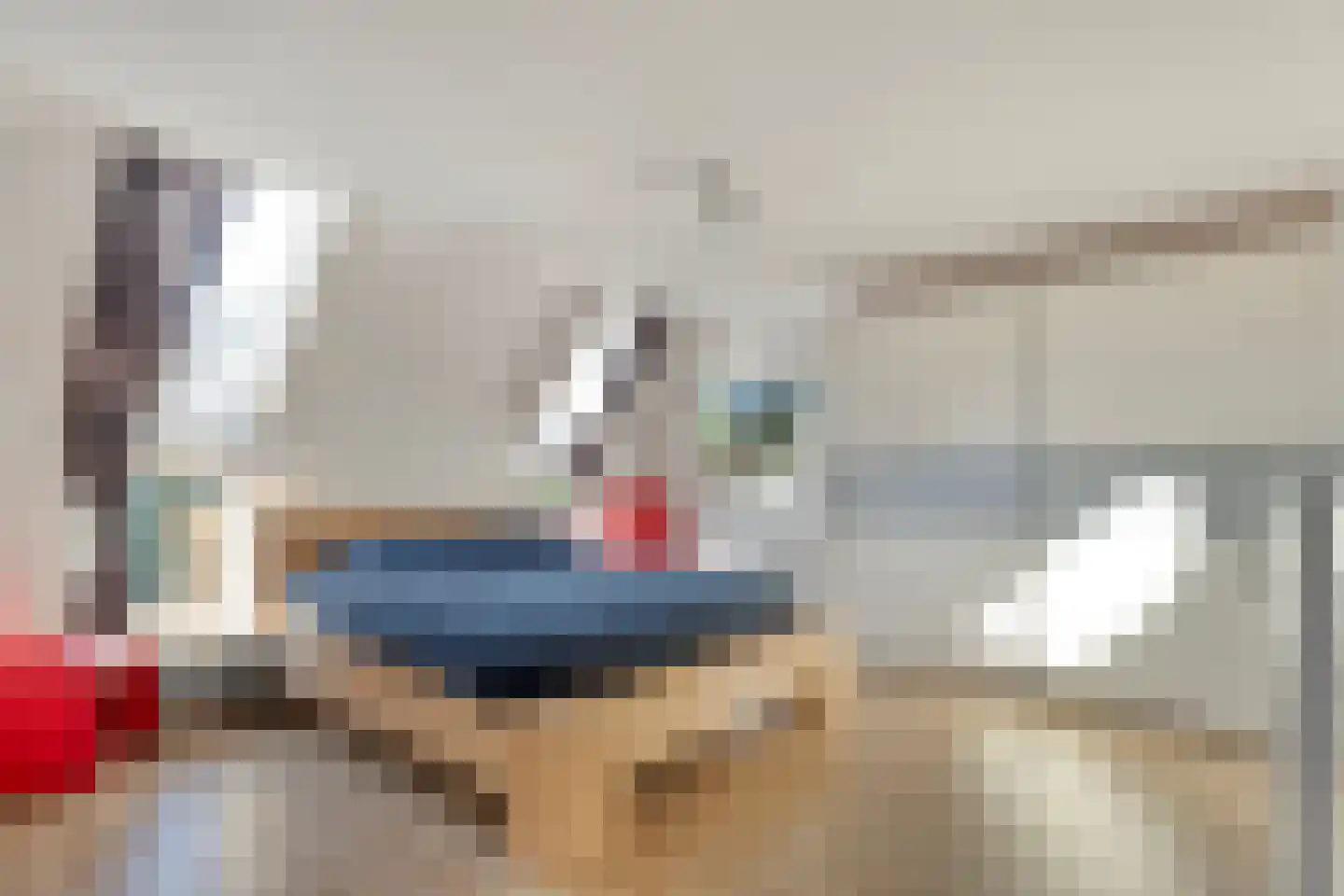 Ter Borch 22 Zuidlaren thumbnail 26