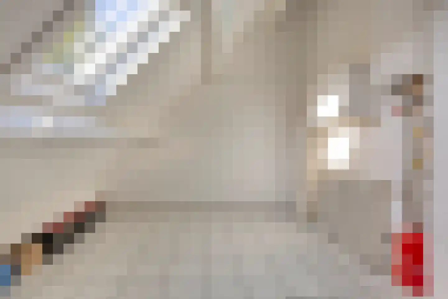 Ter Borch 22 Zuidlaren thumbnail 32