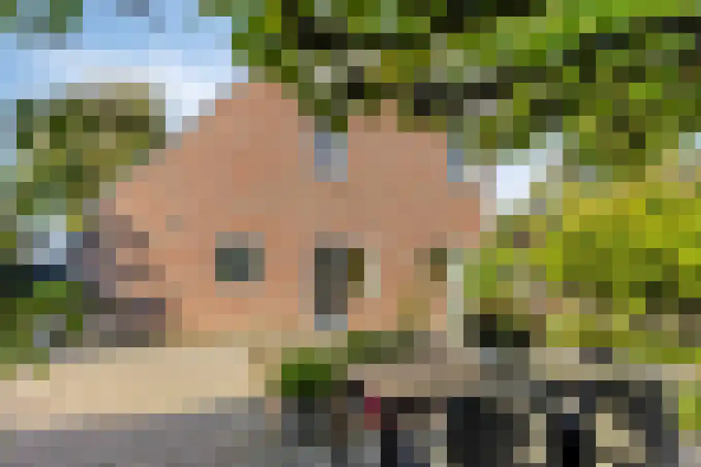 Ter Borch 22 Zuidlaren thumbnail 34