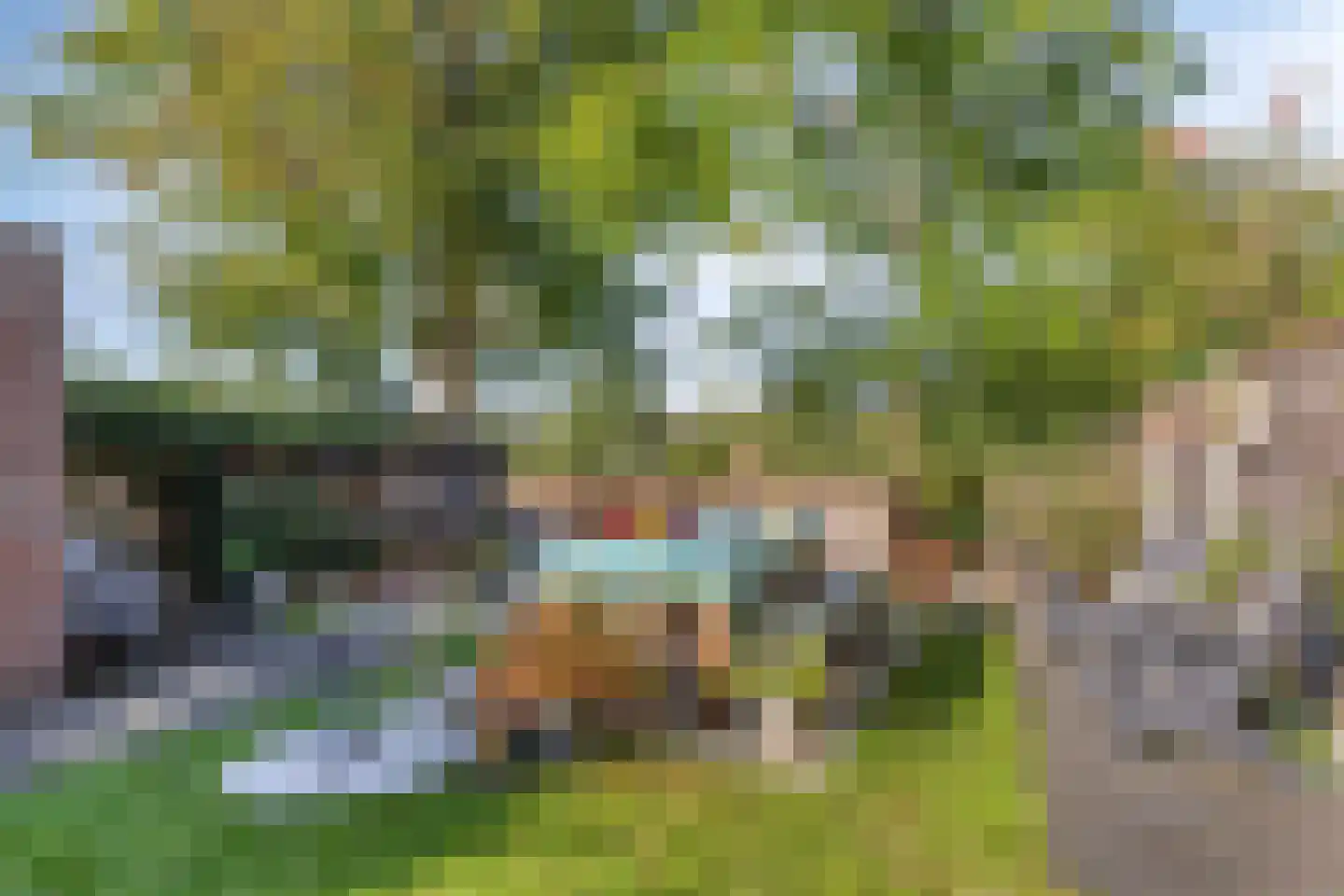 Ter Borch 22 Zuidlaren thumbnail 36