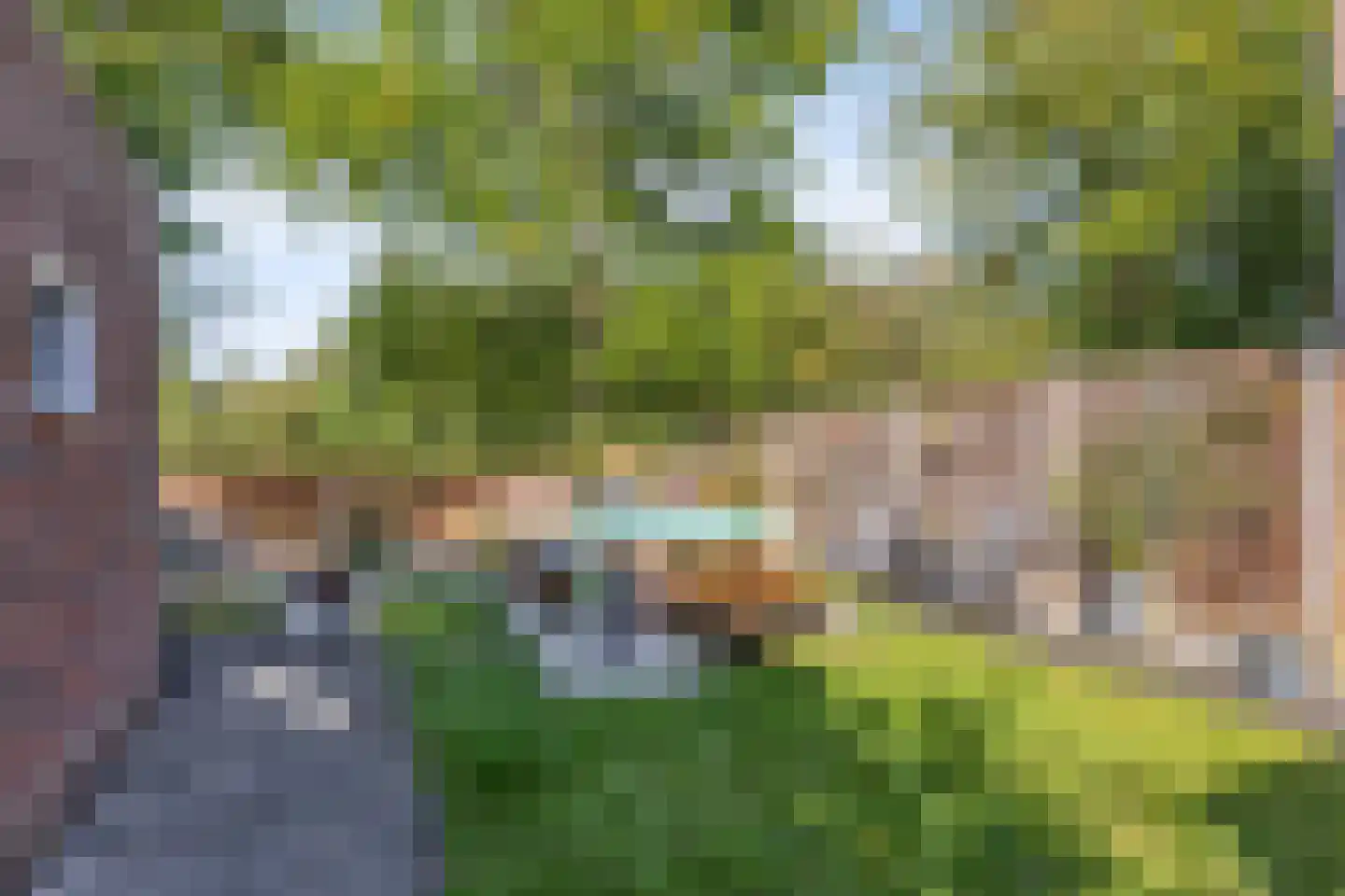 Ter Borch 22 Zuidlaren thumbnail 37