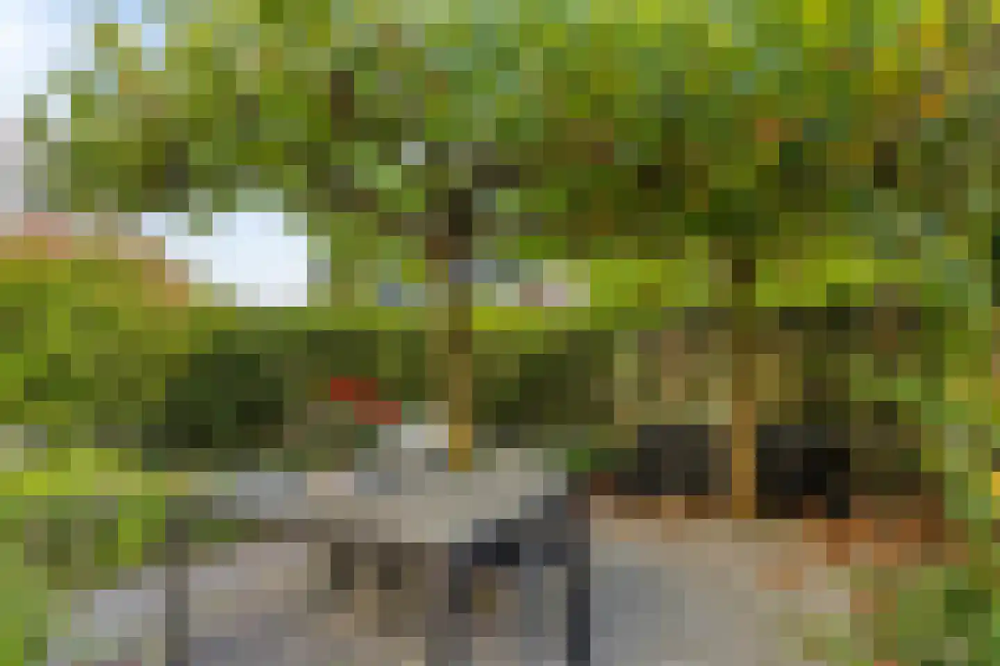 Ter Borch 22 Zuidlaren thumbnail 38