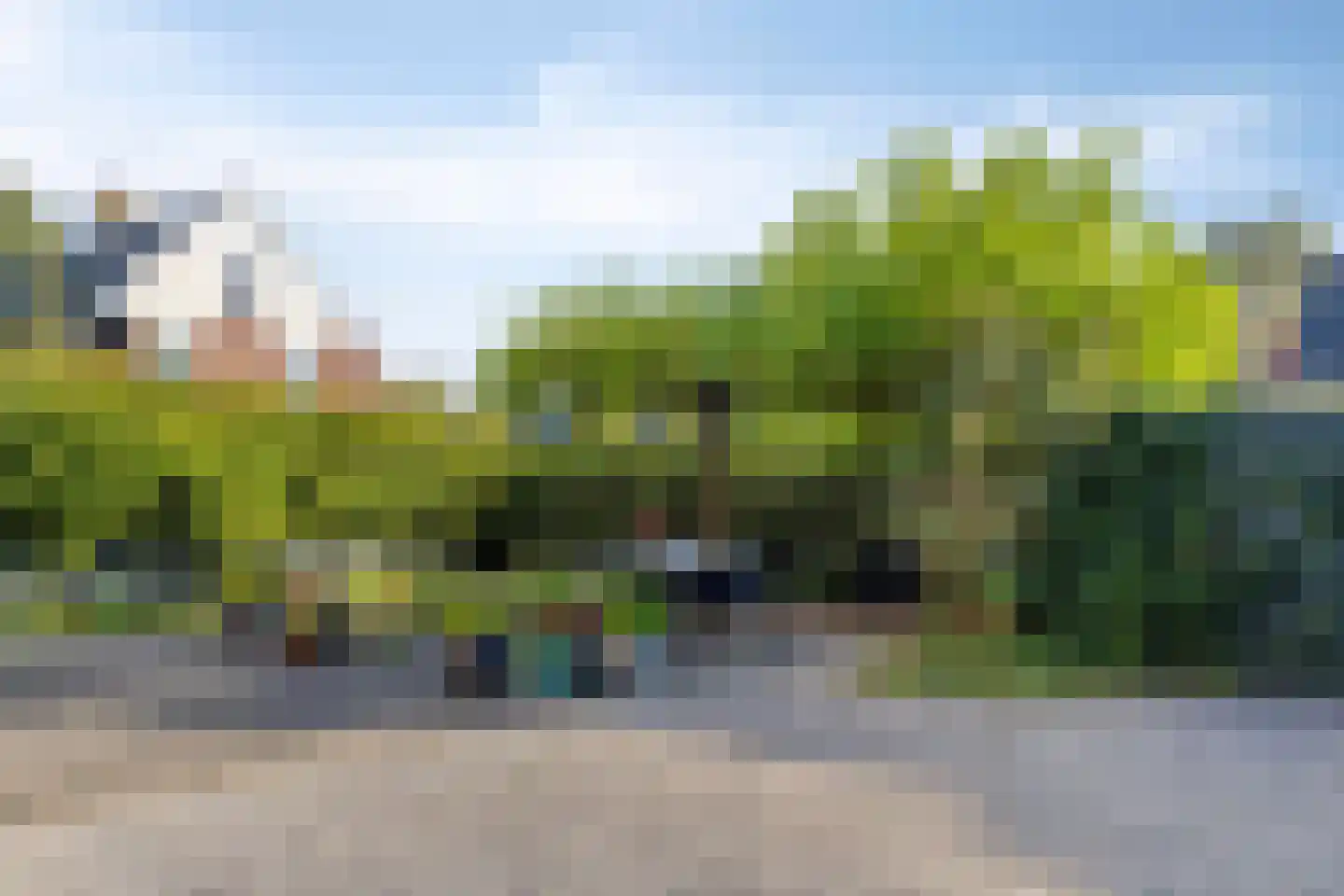Ter Borch 22 Zuidlaren thumbnail 39