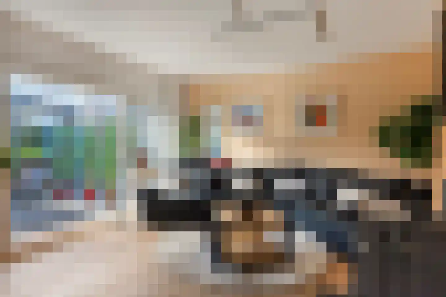 Ter Borch 22 Zuidlaren thumbnail 4