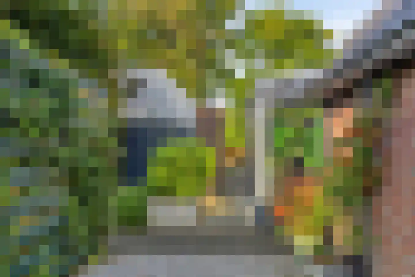 Ter Borch 22 Zuidlaren thumbnail 41