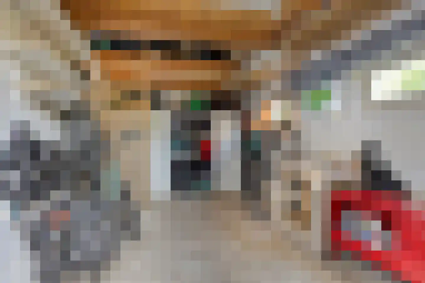Ter Borch 22 Zuidlaren thumbnail 42