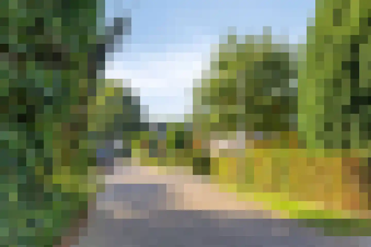 Ter Borch 22 Zuidlaren thumbnail 43