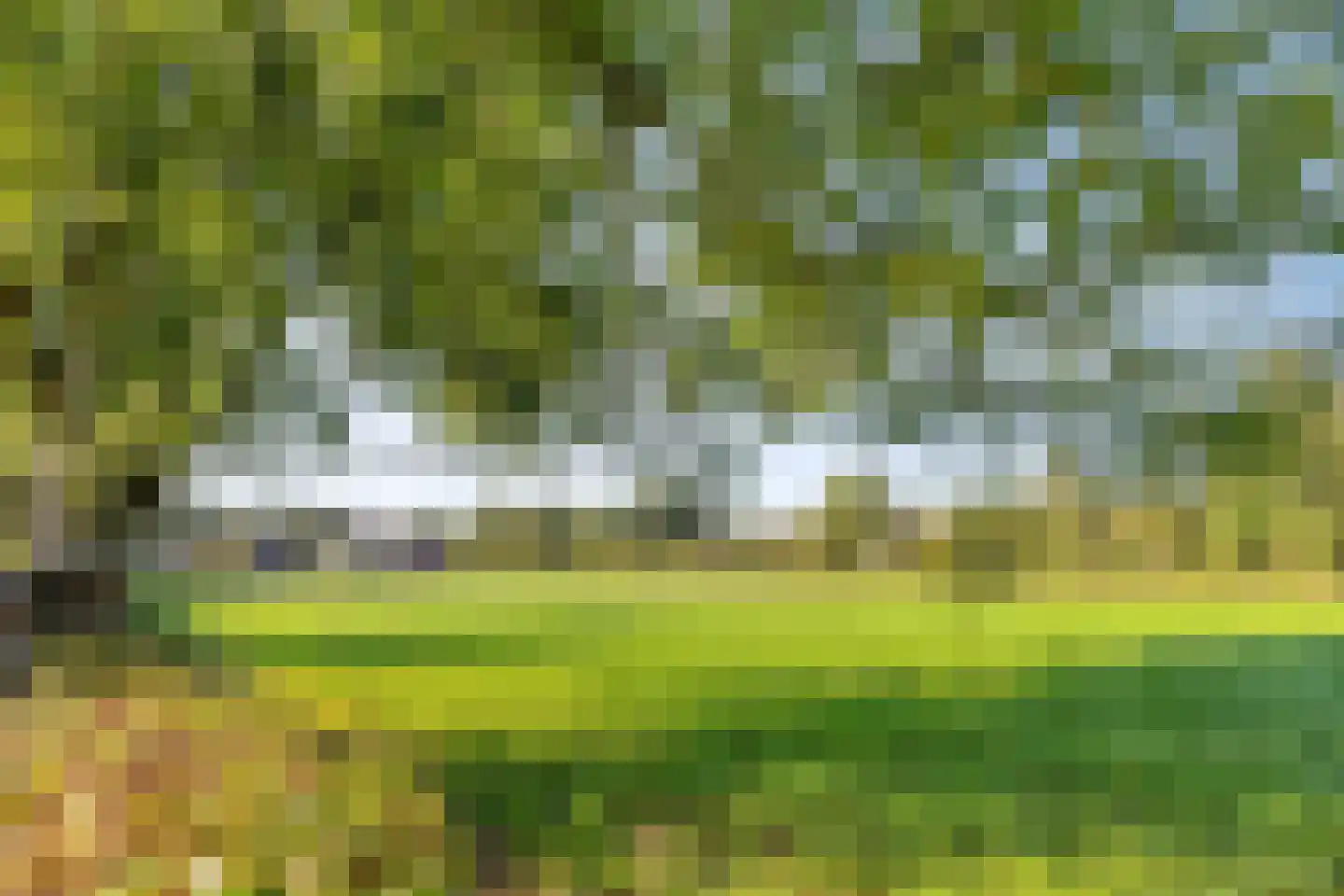 Ter Borch 22 Zuidlaren thumbnail 45