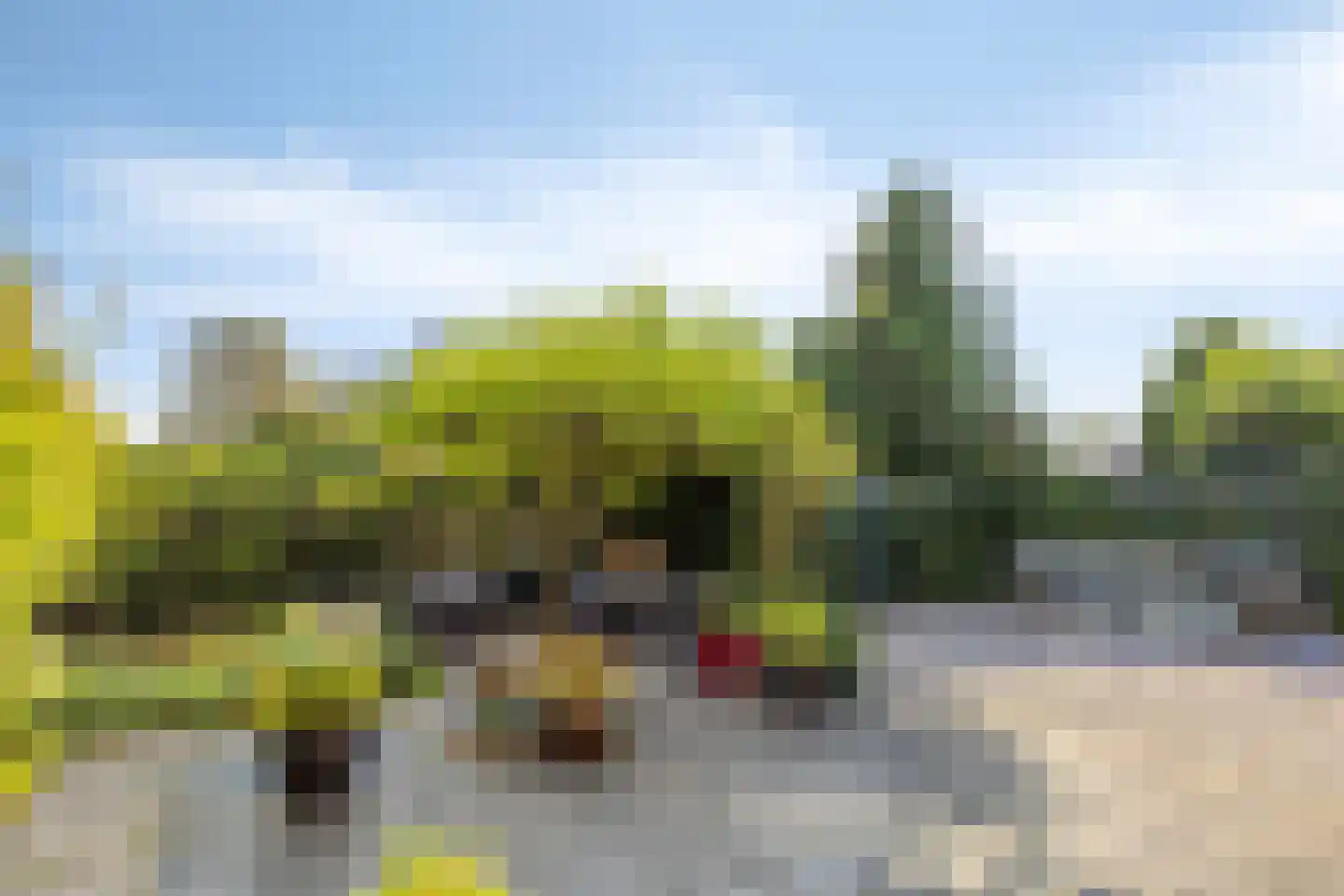 Ter Borch 22 Zuidlaren thumbnail 5